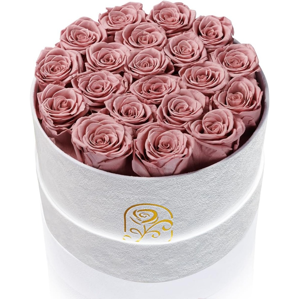 Home Decor Tulip - Konservierte Rosen in Samtbox, Dauerhafte Geschenke