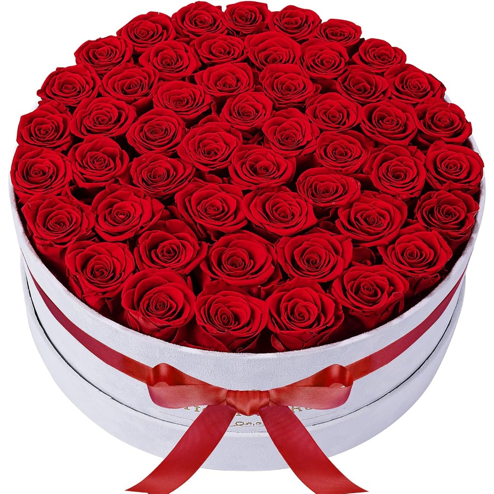 50 Samtbox-Rosen, Konservierte – Home Decor Tulip Bewertung und Preis
