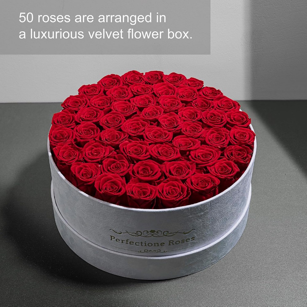 50 Samtbox-Rosen, Konservierte – Home Decor Tulip Bewertung und Preis