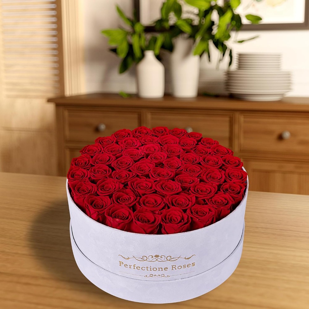 50 Samtbox-Rosen, Konservierte – Home Decor Tulip Bewertung und Preis