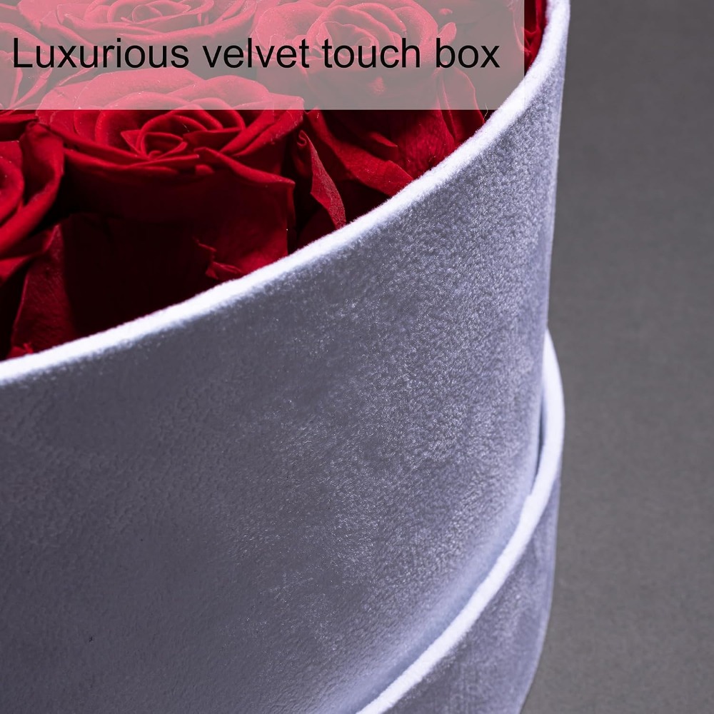 50 Samtbox-Rosen, Konservierte – Home Decor Tulip Bewertung und Preis