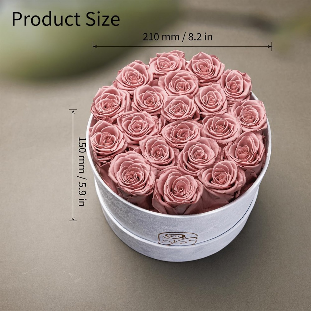 Konservierte Rosen in Samtbox, – Home Decor Tulip Bewertung und Preis