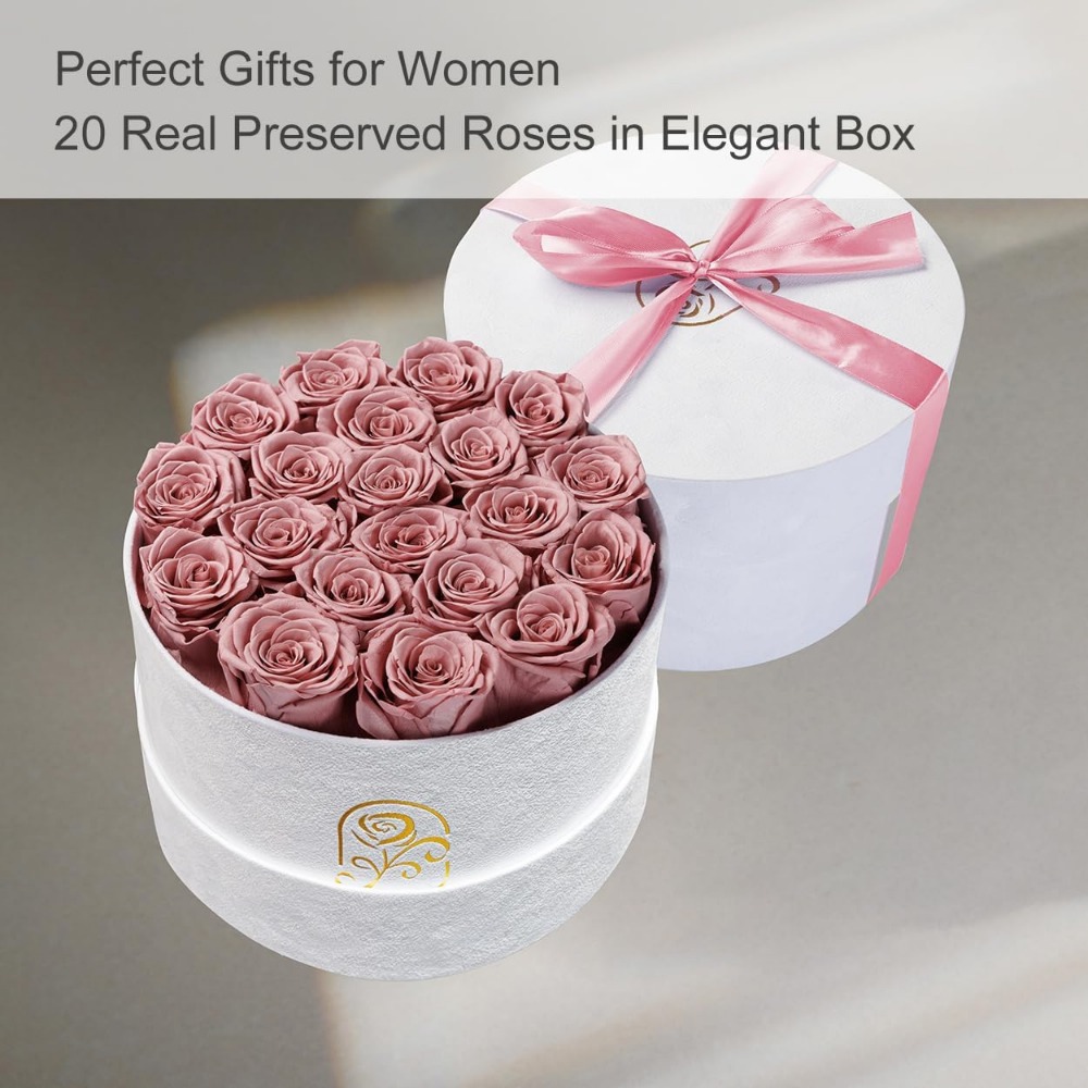 Konservierte Rosen in Samtbox, – Home Decor Tulip Bewertung und Preis