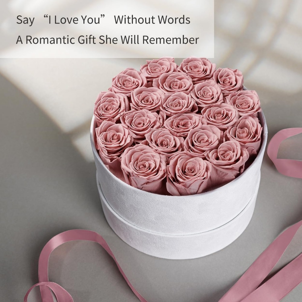 Konservierte Rosen in Samtbox, – Home Decor Tulip Bewertung und Preis