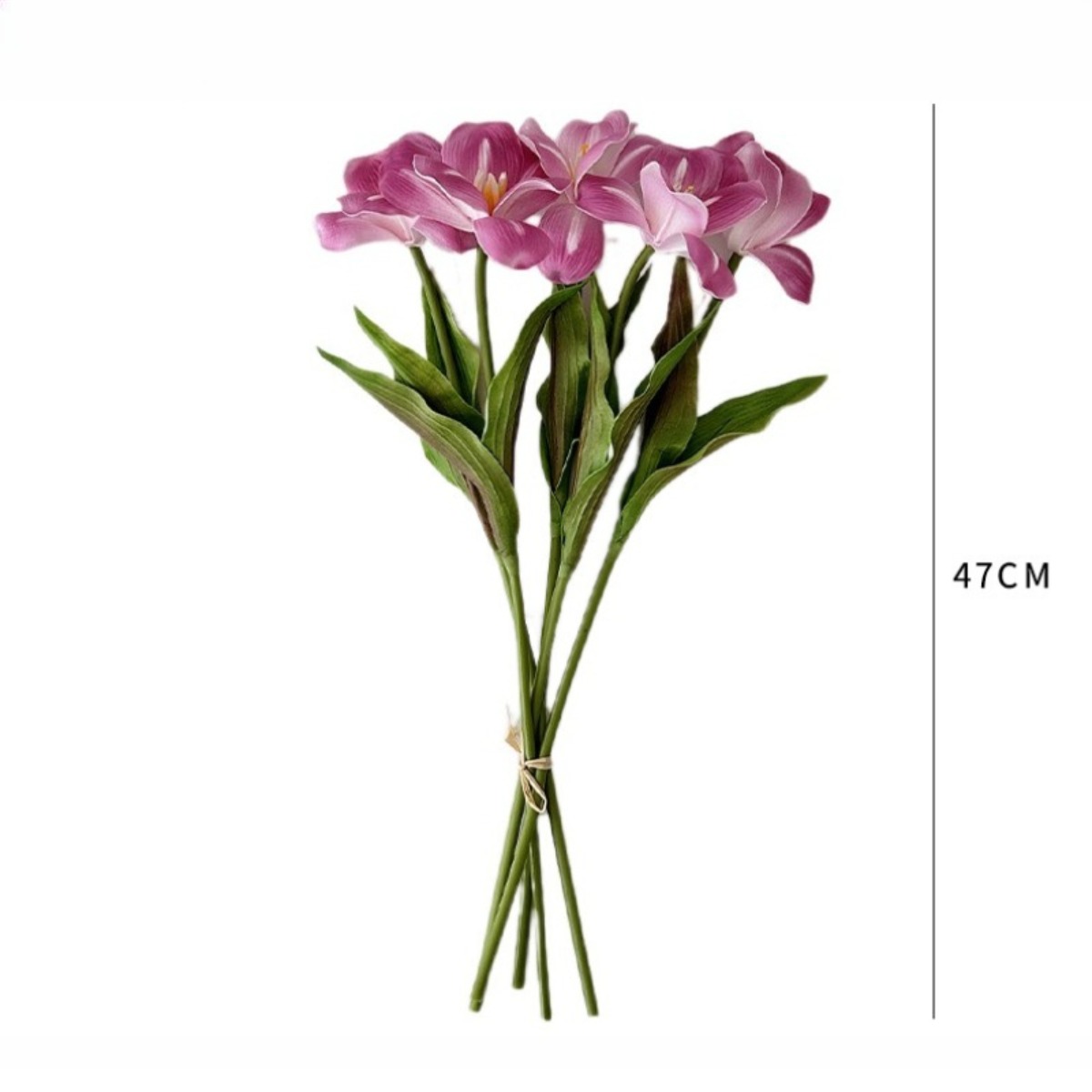 18,5 Zoll Einzelstiel Offene T – Home Decor Tulip Bewertung und Preis