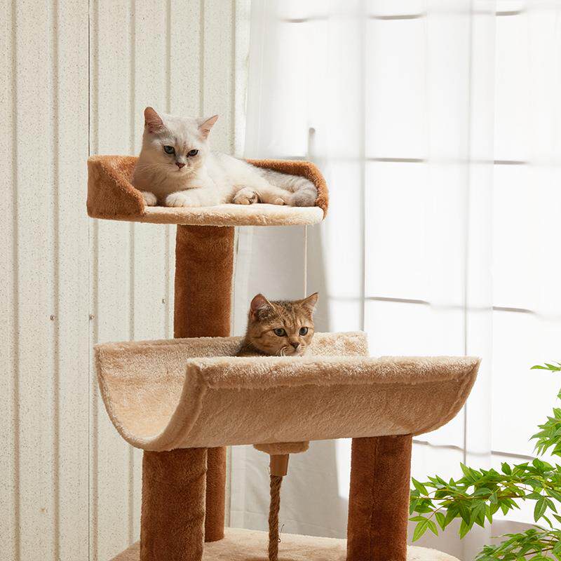 Luxuriöser Katzenbaum aus Holz – Home Decor Kota Bewertung und Preis