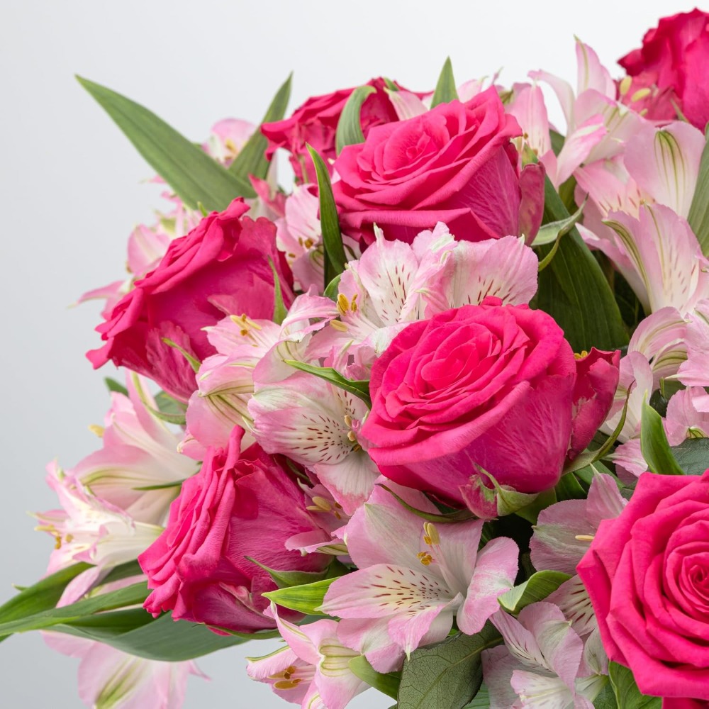 Elegantes Rosen- und Alstroeme – Home Decor Tulip Bewertung und Preis