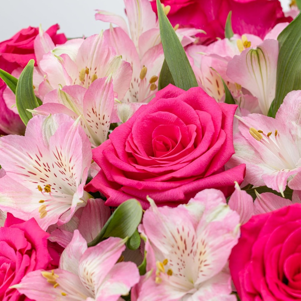 Elegantes Rosen- und Alstroeme – Home Decor Tulip Bewertung und Preis